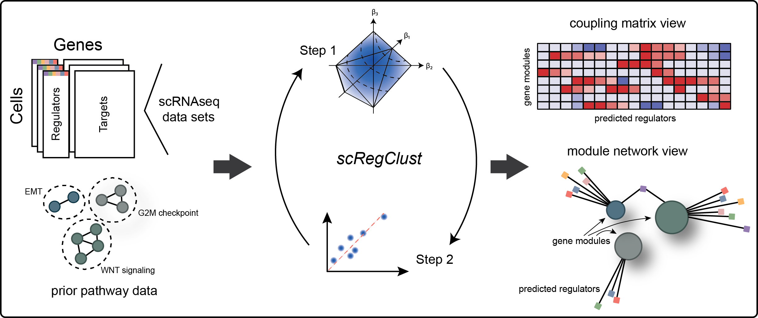 A diagram illustrating the scregclust algorithm.